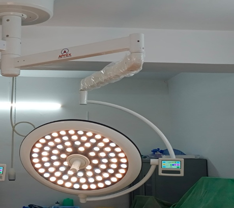 Nuvo Platinum LED Single Dome (Brand New )